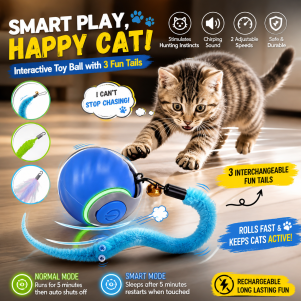 BABORUI Smart Cat Toy Ball – Automatic Moving Toy for Indoor Cats (Rechargeable)
